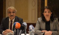 DEM Parti İmralı Heyeti Siyasi Turlarına Başlıyor