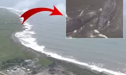 Balinalar neden karaya vurur? Japonya'daki deprem sonrası ortaya çıkan manzara şaşkına çevirdi