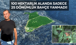 100 Hektarlık Alanda Sadece 25 Dönümlük Bahçe Yanmadı!