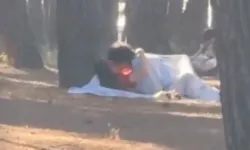 Florya Ormanı’nda skandal görüntü! Gözaltına alındılar