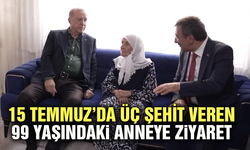 Cumhurbaşkanı Erdoğan’dan 15 Temmuz'da Üç Şehit Veren Anneye Ziyaret