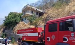 Hatay'da Orman Yangını