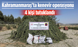 Kahramanmaraş’ta Kenevir Operasyonu: 4 Tutuklama