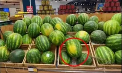 ChatGPT’nin seçtiği karpuz viral oldu