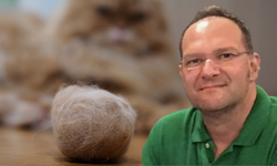Kedi Tüyü Yalanı: Okan Diköz’ün Ölüm Nedeni Ortaya Çıktı