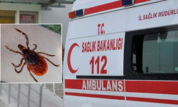 Aynı Mahallede 3. Ölümlü Kene Vakası!