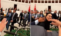 Meclis’te Zeytinlik Kavgası! Yasa Görüşmeleri Yumruklu Tartışmaya Dönüştü