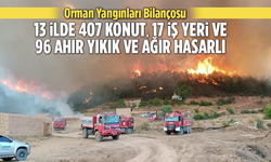 Bakan Yerlikaya Orman Yangınları İle İlgili Açıklama: 13 İlde 407 Konutun Hasarlı