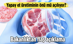 Yapay et üretiminin önü mü açılıyor? Tarım ve Orman Bakanlığından flaş açıklama