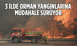 3 İlde Orman Yangınlarına Müdahale Sürüyor