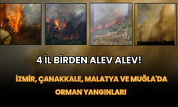 4 İl Birden Alev Alev!  İzmir, Çanakkale, Malatya ve Muğla'da Orman Yangınları