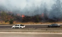 Adana Pozantı'da Araç Yangını Ormana Sıçradı