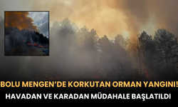 Bolu Mengen’de Korkutan Orman Yangını! Havadan ve Karadan Müdahale Başlatıldı