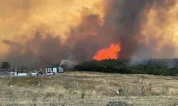 Çanakkale'deki Yangında Kundaklama Şüphesi! Siyah Tempra Her Yerde Aranıyor