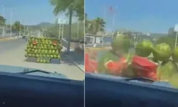 Malatya’da Vicdansızlık Kamerada: "Canımız Sıkıldı" Diyerek Karpuz Tezgahına Çarptılar!