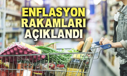 Temmuz Enflasyonu Açıklandı!
