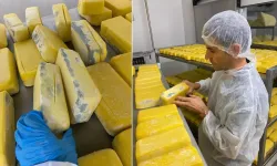 Bu peynirleri yiyecektik! Sakarya’da şok baskınla 1.5 tonluk tehlike ortaya çıktı