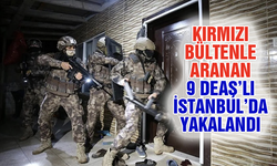 Kırmızı Bültenle Aranıyorlardı! 9 DEAŞ'lı İstanbul'da Yakalandı
