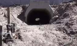 Kurbağalara Özel “Aşk Tüneli”! ABD’de Trafikte Ezilen Kurbağalar İçin 40 Bin Dolarlık Alt Geçit