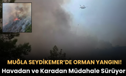 Muğla Seydikemer’de Orman Yangını! Havadan ve Karadan Müdahale Sürüyor