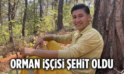 Osmaniye'de 1 Orman İşçisi Şehit Oldu