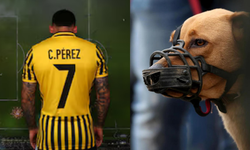 Futbol Dünyasında Sıra Dışı Olay: Ünlü Yıldızın Cinsel Organını Köpek Isırdı