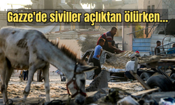 İsrail ordusundan şoke eden operasyon: Gazze’deki eşekler çalınıp Fransa’ya gönderildi