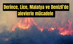 Türkiye’nin Dört Bir Yanında Yangın Alarmı!