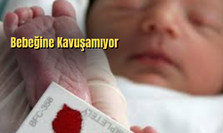 Danimarka’da Şok Olay: Grönland Kökenli Anneye Doğumdan Sonra “Ebeveynlik Testi”