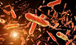 Sağlık Bakanlığından “Vibrio” Açıklaması