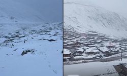 Doğu Karadeniz'de Kar Yağışı Etkili Oldu
