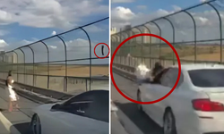 Kediyi Kurtarmak İsteyen Kadın, Emniyet Şeridinde Canından Oluyordu!