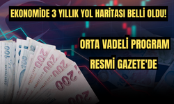 Ekonomide 3 Yıllık Yol Haritası Belli Oldu! Orta Vadeli Program Resmi Gazete'de