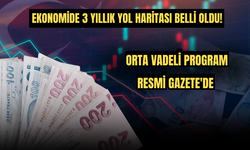 Ekonomide 3 Yıllık Yol Haritası Belli Oldu! Orta Vadeli Program Resmi Gazete'de