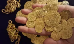 310 Yıl Sonra Gün Yüzüne Çıktı! Florida’da 1 Milyon Dolarlık Hazine Bulundu
