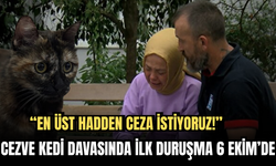 Cezve Kedi Davasında İlk Duruşma 6 Ekim’de: “En Üst Hadden Ceza İstiyoruz!”