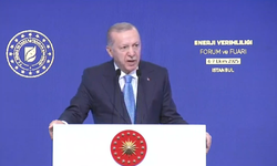 Cumhurbaşkanı Erdoğan Akkuyu'ya Elektriğin Ne Zaman Verileceğini Açıkladı