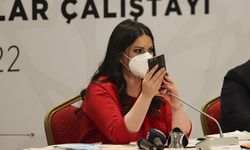 Cumhurbaşkanı Erdoğan, AK Parti'de Romanlara yönelik çalıştayda katılımcılara telefonda seslendi