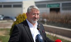 Çorum'da süneyle mücadele için 7 bin 300 karadut fidanı dikilecek
