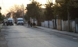 Hatay'da polisten kaçan otomobilden yol kenarına el bombası atıldı