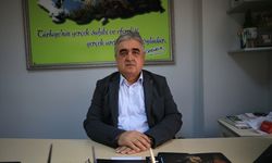 Kırklareli'nde buğdayda yüksek verim bekleniyor