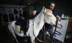 Pony cinsi "albino" at, binicilik kulübünün maskotu oldu