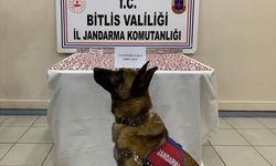 Bitlis'te 2 bin 800 sentetik uyuşturucu hap ele geçirildi