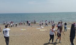 Mersin'de deniz kaplumbağalarının yuvalama alanları temizlendi