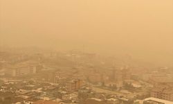 Şırnak ve Siirt'te toz taşınımı etkisini sürdürüyor