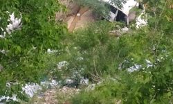 Adana'da dere yatağına devrilen otomobilin sürücüsü hayatını kaybetti