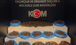 Aracında 97 kilo 500 gram trüf mantarı bulunan şüpheli yakalandı