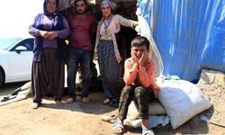 ''Hayvanların bile kimliği var bizim yok''