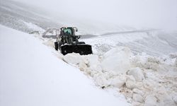 Van ve Bitlis'te kar etkili oldu
