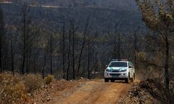 Marmaris'teki yangından etkilenen yaban hayvanları için devriye görevi